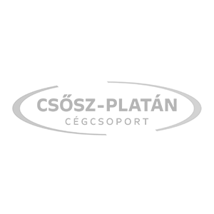 Tolatókamera+GPS tükörrel
